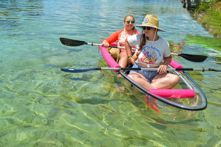 Crystal River: Three Sisters Manatee Clear Kayak Tour Free Photos - Photo 1 of 13